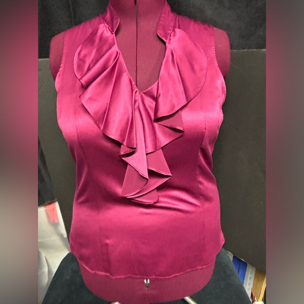Ann Taylor Wine Colored Ruffle Front Top with Mandarin Collar Size 18
